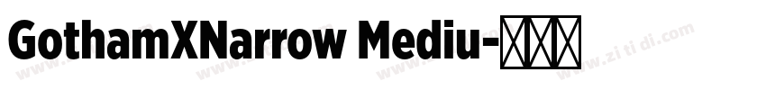 GothamXNarrow Mediu字体转换